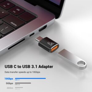 Pastall: USB A Female to USB C Male Adapter